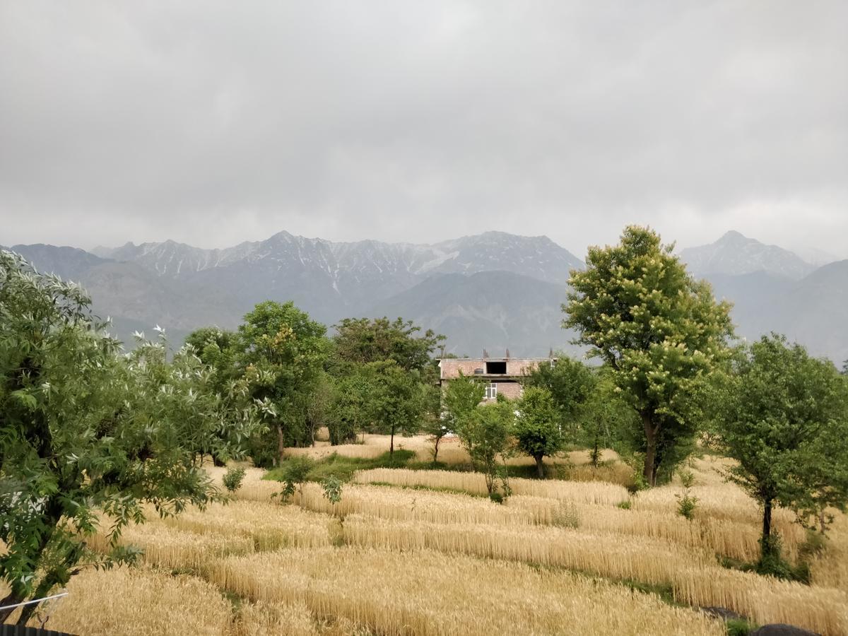 D'Polo Club & Spa Resort Dharamshala Exteriör bild
