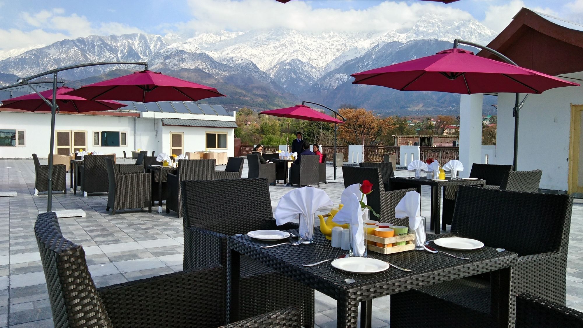 D'Polo Club & Spa Resort Dharamshala Exteriör bild